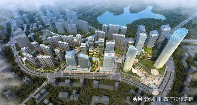 龍崗最新資訊，學(xué)習(xí)變革，自信成就未來之路