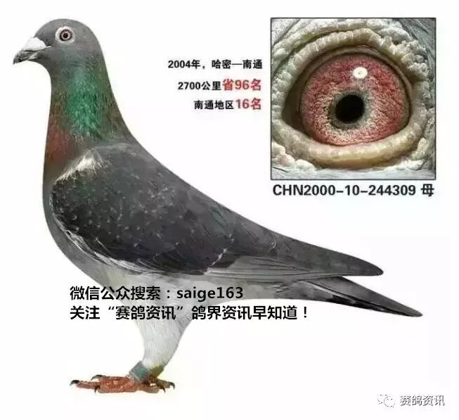 金屬沖壓模具的加工銷售 第153頁