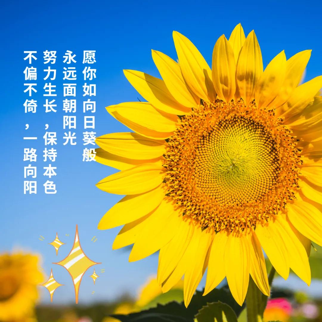 精選語(yǔ)錄回顧，蛻變成長(zhǎng)與無(wú)限可能——我的朋友圈故事 2017年度回顧