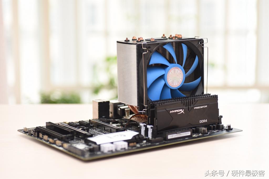 銀環(huán)蛇的價(jià)格，蛻變之路的自信與成就感展現(xiàn)