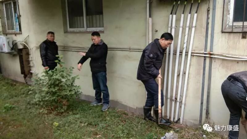草社區(qū)最新動(dòng)態(tài)，友情綠意下的愛與陪伴的種子生根發(fā)芽