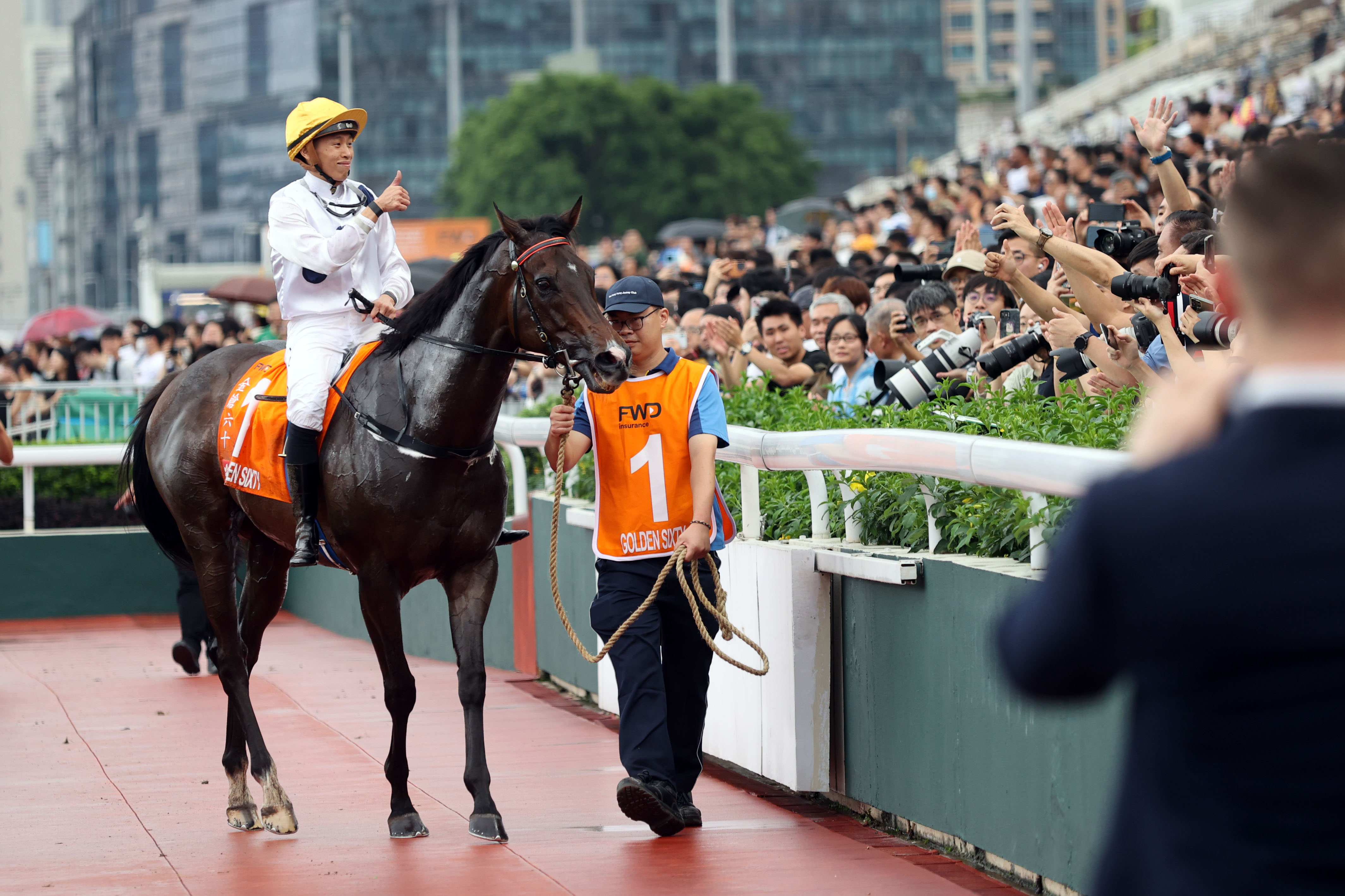 2024香港賽馬全年免費(fèi)資料,專家意見(jiàn)法案_收藏版6.401