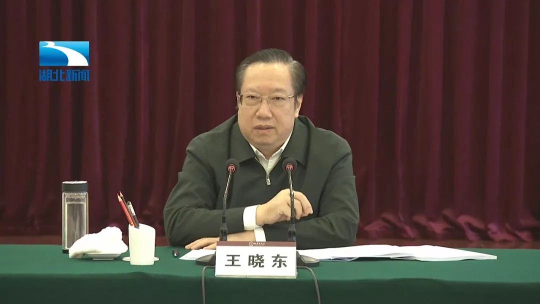 都市放牛演員王曉東，演技與多維影響力的深度解讀