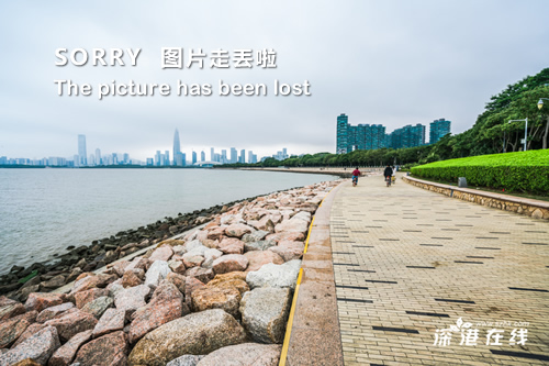 深圳西部公汽最新招聘，行業(yè)趨勢與個人選擇的交匯點(diǎn)