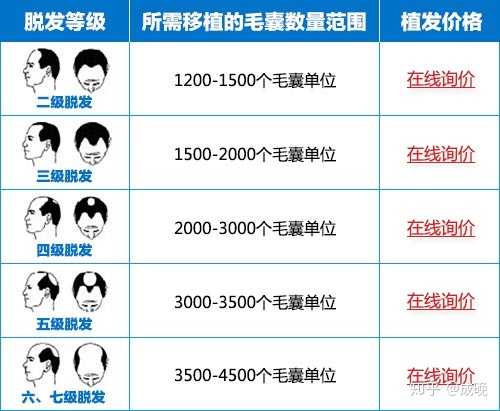 種頭發(fā)的價格之旅，探尋價格與自然的浪漫遨游
