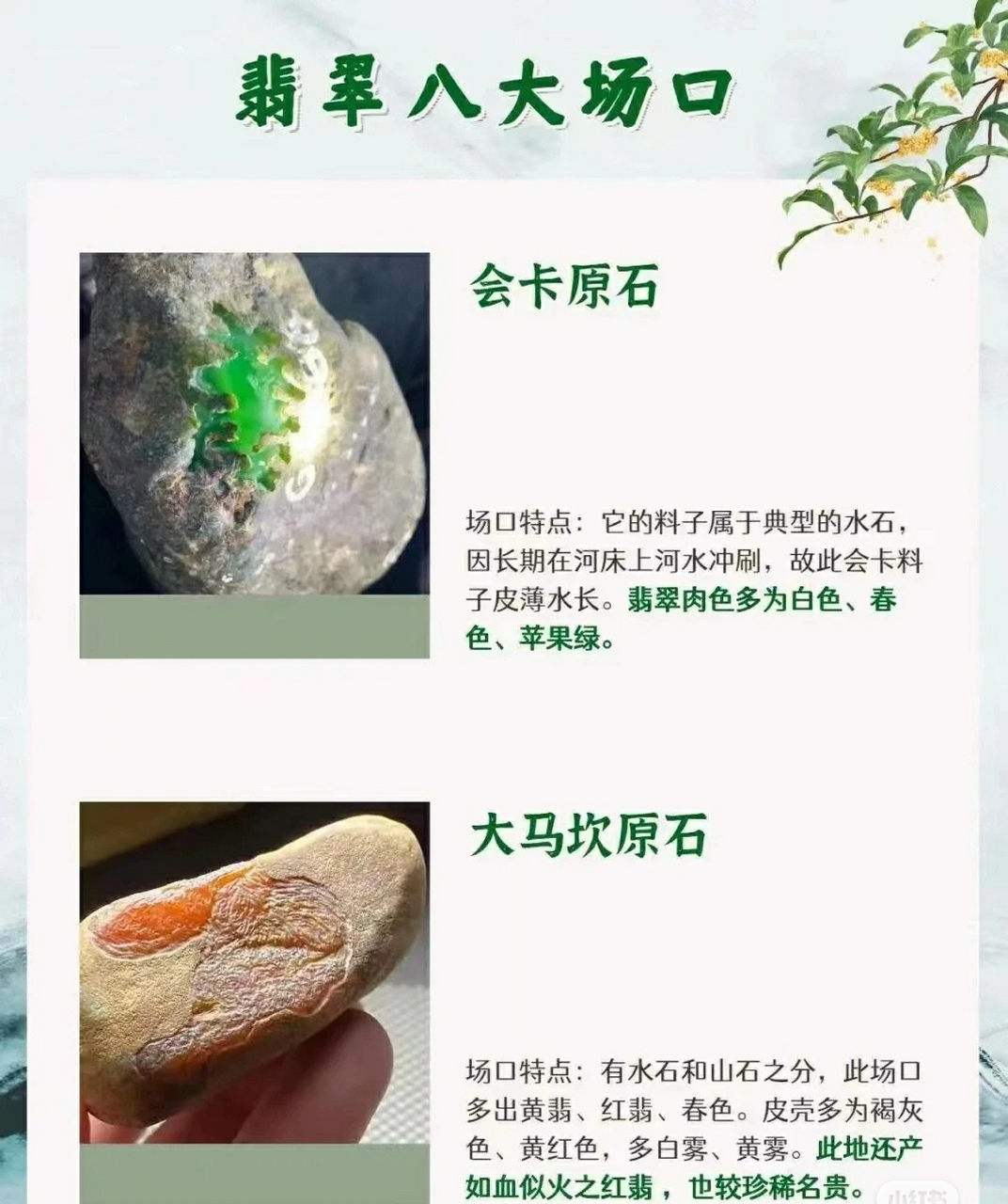 最新翡翠場口深度論述，探索翡翠原石的新發(fā)現(xiàn)與奧秘