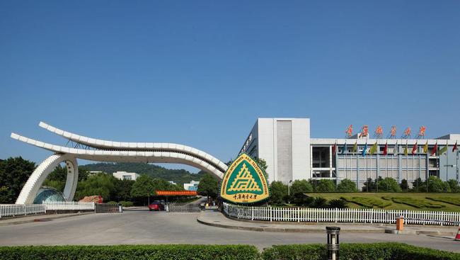 重慶最新校招信息概覽與解讀