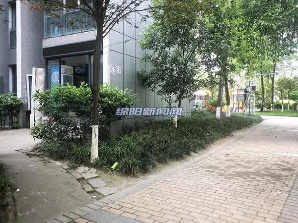 探索新時(shí)代的變遷與機(jī)遇，最新進(jìn)出肖動(dòng)態(tài)報(bào)道