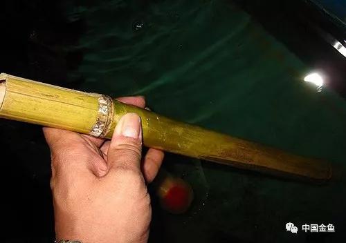 養(yǎng)魚(yú)最新工具概覽，創(chuàng)新產(chǎn)品助力養(yǎng)魚(yú)事業(yè)?
