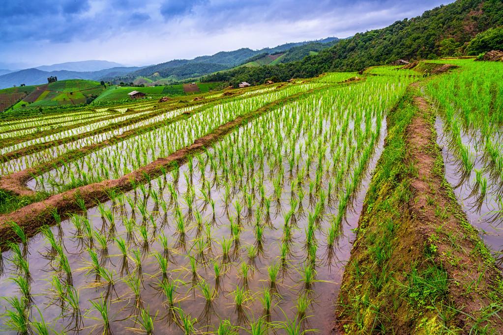 疫情控制最新動態(tài)更新，最新進展與趨勢分析