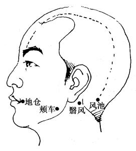 最新經(jīng)絡(luò)療法，開(kāi)啟健康之旅的秘訣??