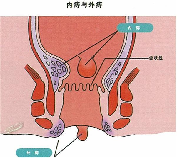 最新手術(shù)治療，自然美景的心靈之旅體驗(yàn)