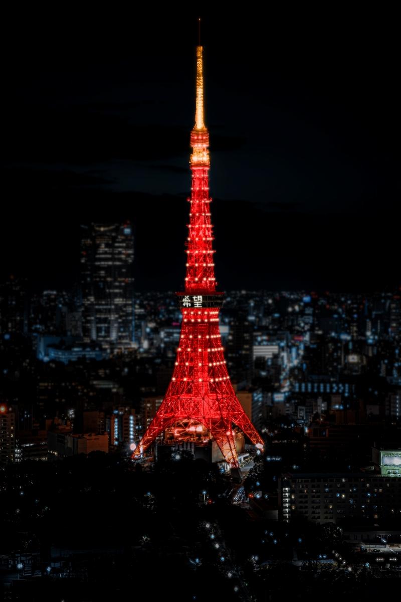 探索東京無限魅力，最新東京網(wǎng)站帶你暢游東京之巔