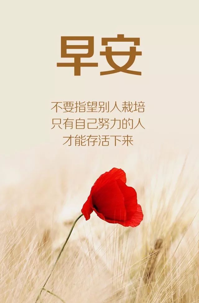 最新早安語(yǔ)錄，巷弄深處獨(dú)特小店喚醒你的清晨時(shí)光